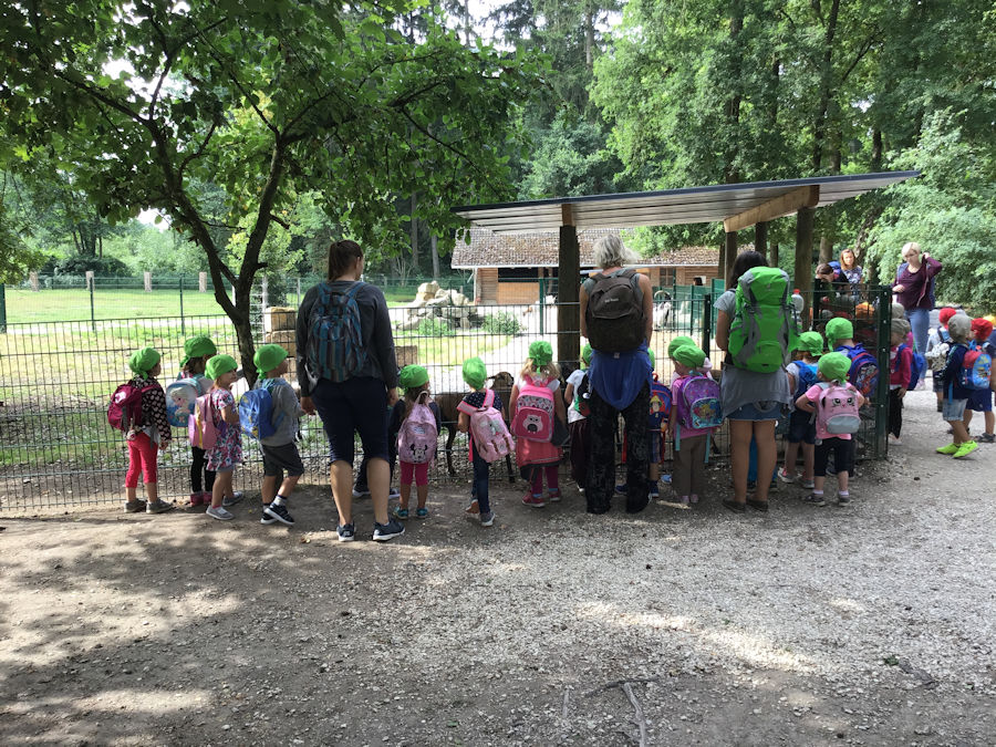 Ausflugsziele Rund Um Heidelberg Die Top 20 Komoot Komoot Ausflugsziele Rund Um Heidelberg Die Top 20 Komoot Komoot